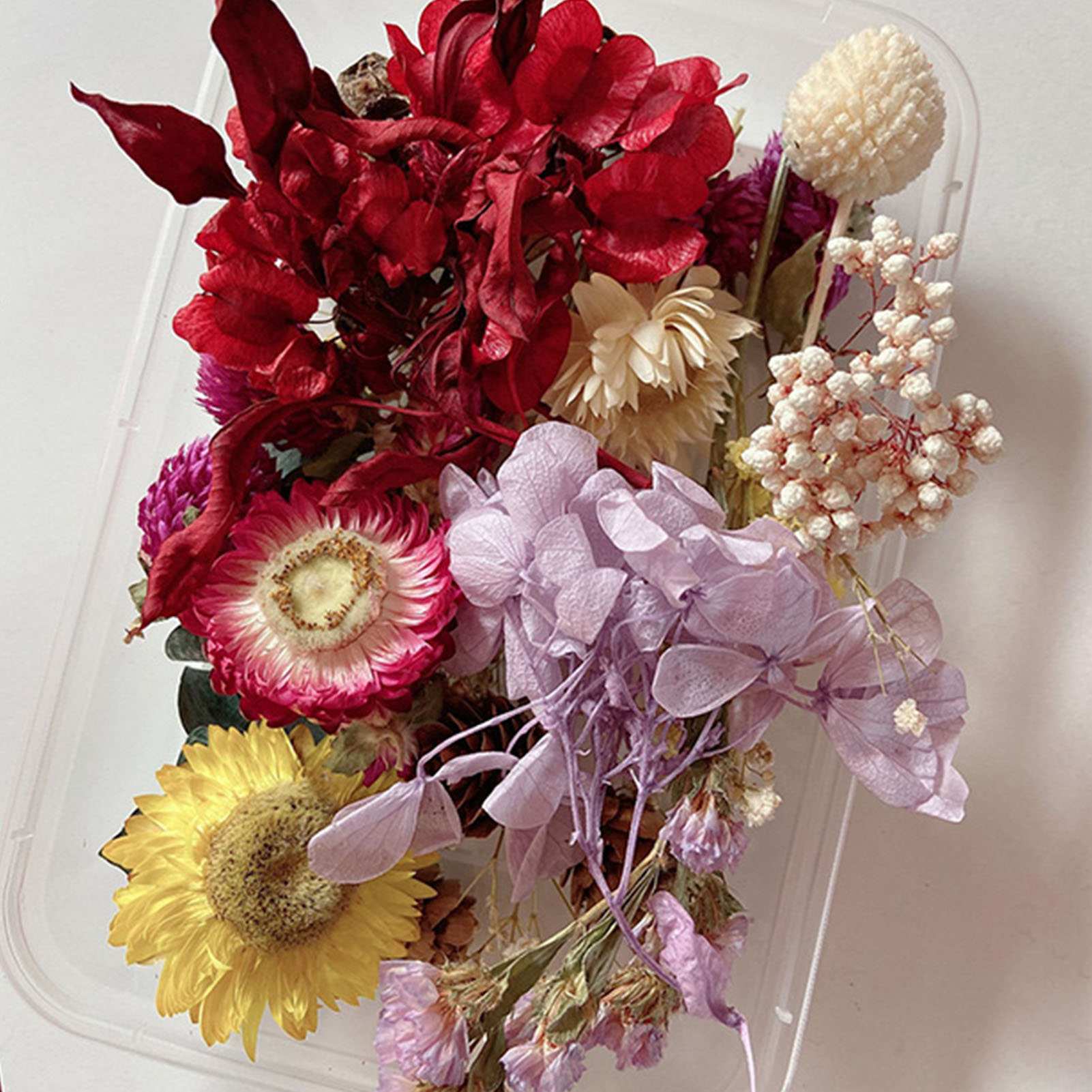 Natural Dried Flower Kit Press - Potpourri Dried Flower recension och pris