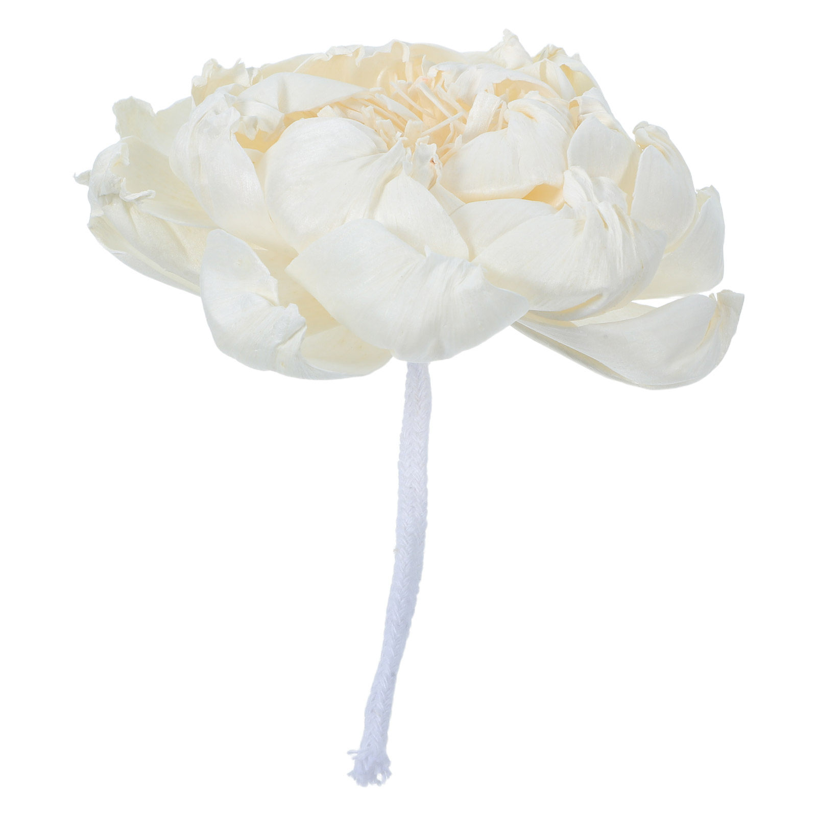 Peony Head Fragrance Diffuser  - Home Fragrance Us recension och pris