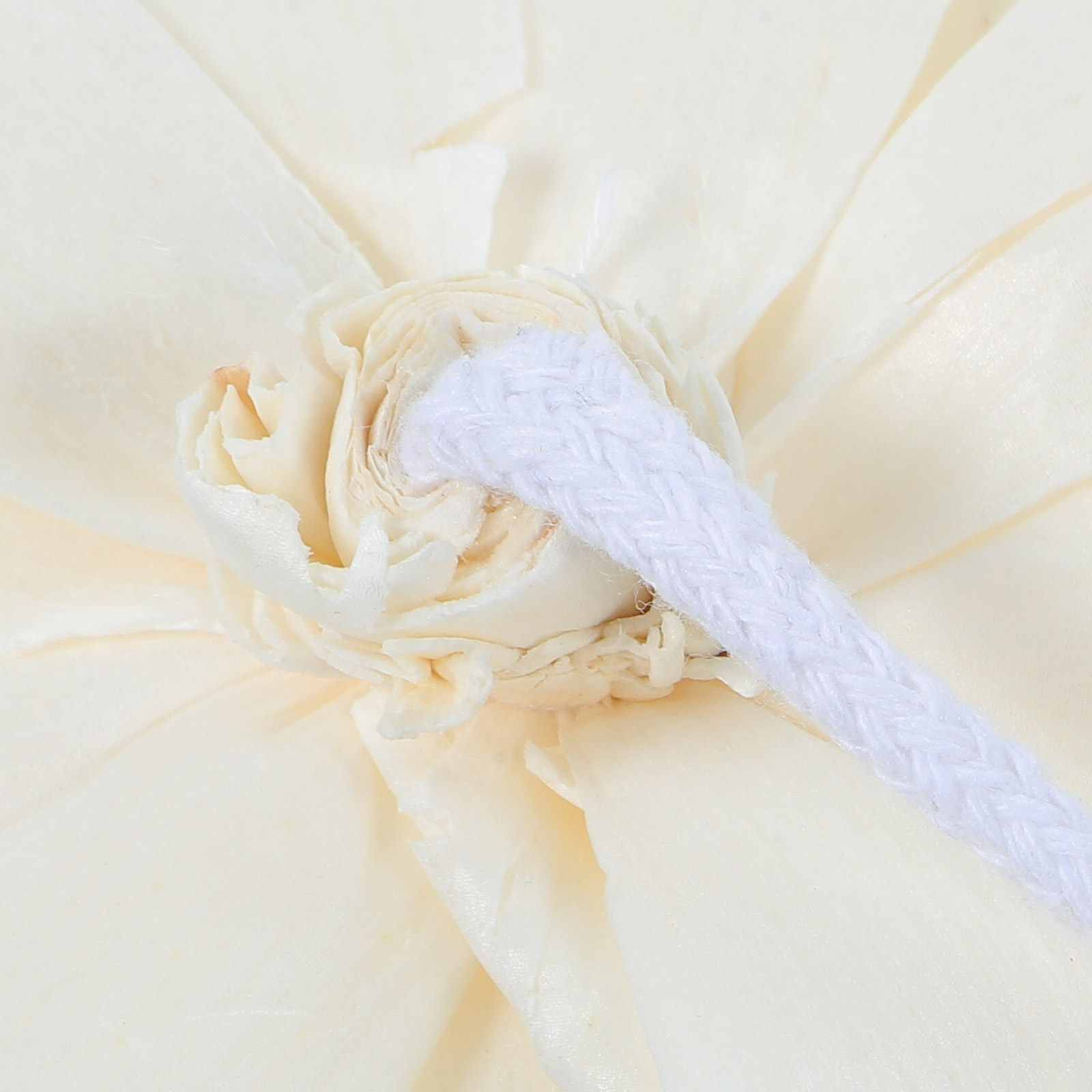 Peony Head Fragrance Diffuser  - Home Fragrance Us recension och pris