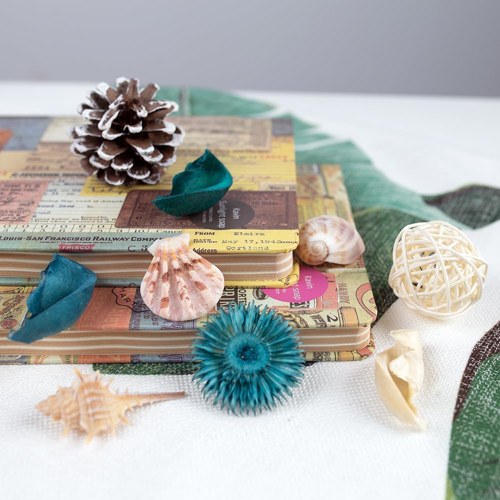 Ocean Breeze Scented Seashell  - Potpourri Dried Flower recension och pris