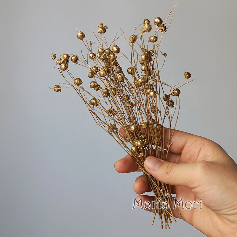 5g Preserved Flax Bean Natural - Home Fragrance Flowers recension och pris