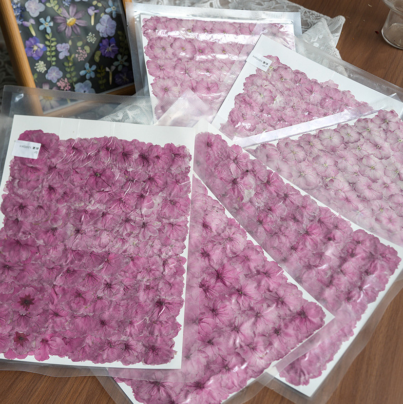 Spring Cherry Blossom Dried Fl - Potpourri Dried Flower recension och pris