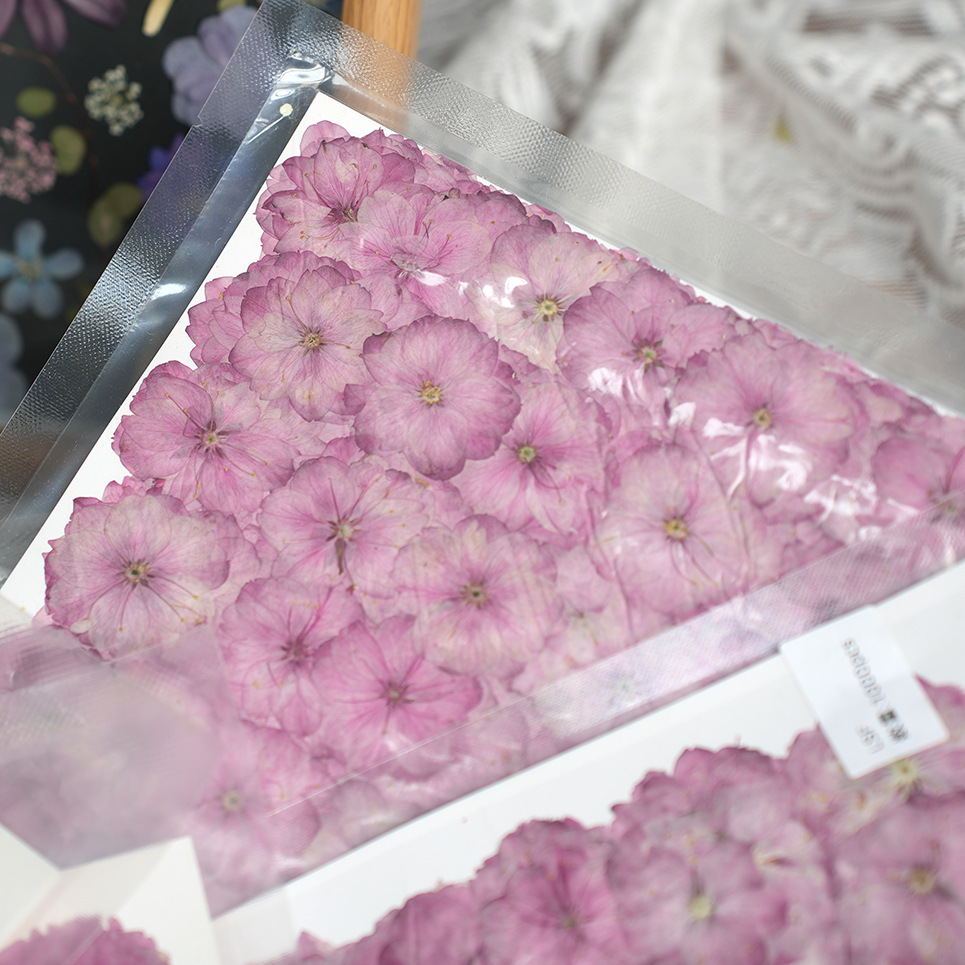 Spring Cherry Blossom Dried Fl - Potpourri Dried Flower recension och pris