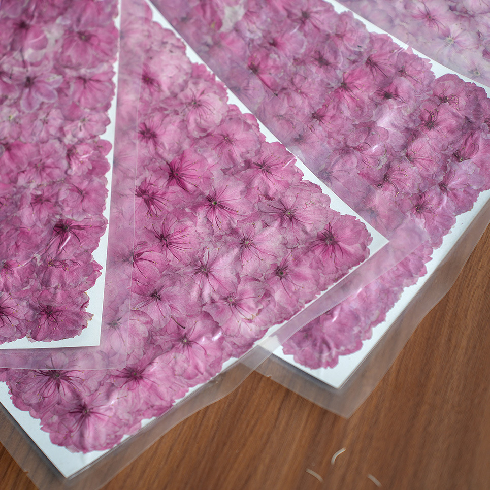 Spring Cherry Blossom Dried Fl - Potpourri Dried Flower recension och pris